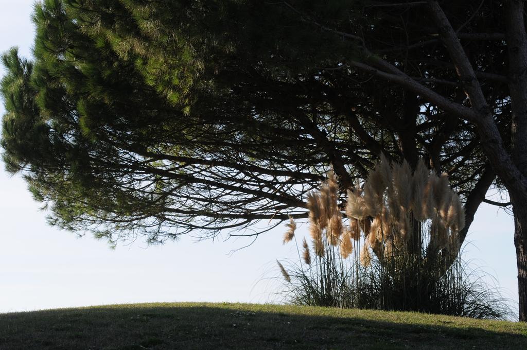 Cosmopolitan Golf & Beach Resort Tirrenia Exterior foto